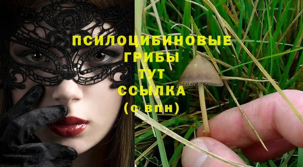 мяу мяу мука Алексин