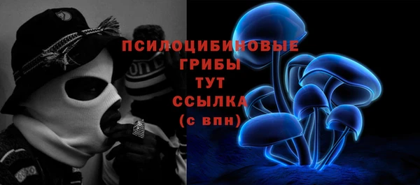 мяу мяу мука Алексин