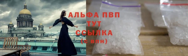 молекула духа Приозерск